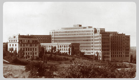 The University Main Building